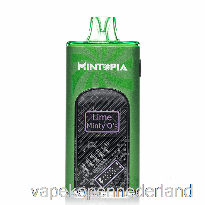Elektronische Sigaret Vape Mintopia Turbo 9000 Wegwerp Limoen Mint Os